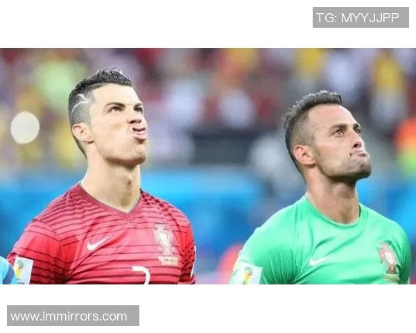 足球明星的猫狗联手踢足球展现萌趣竞技风采 足球明星的猫狗联手踢足球展现萌趣竞技风采